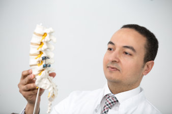 Foto: Modell einer Wirbelsäule © Helios Kliniken GmbH Ein Arzt hält ein Modell des unteren Abschnittes der Wirbelsäule in der Hand