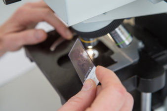 Foto: Stammzellen © Helios Kliniken GmbH Mikroskop und Objektträger