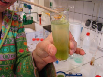 Foto: DNA eines Apfels © IGZ Erfurt DNA-Strukturen eines Apfels im Glas
