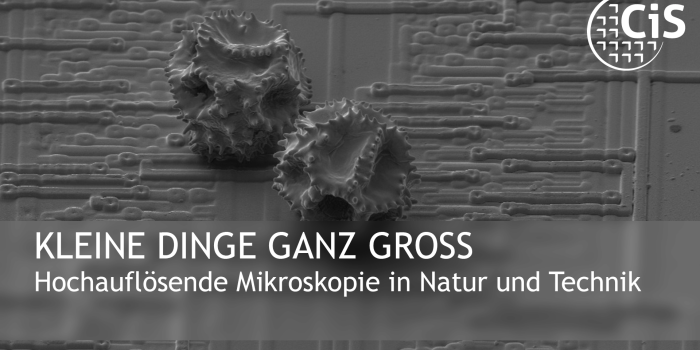 Kleine Dinge ganz groß – Hochauflösende Mikroskopie in Natur und Technik