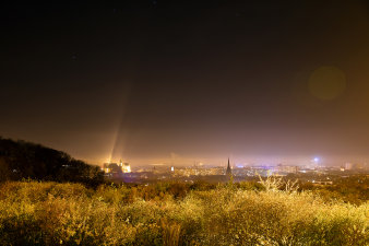 Foto: Erfurt bei Nacht © Thomas Abé Vordergrund mit Pflanzen, Hintergrund mit Erfurter Stadtübersicht mit Beleuchtungen